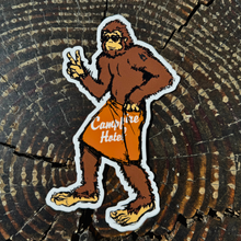 Load image into Gallery viewer, Campfire Stickers
